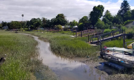 100+ Easements for One Flood Wall?