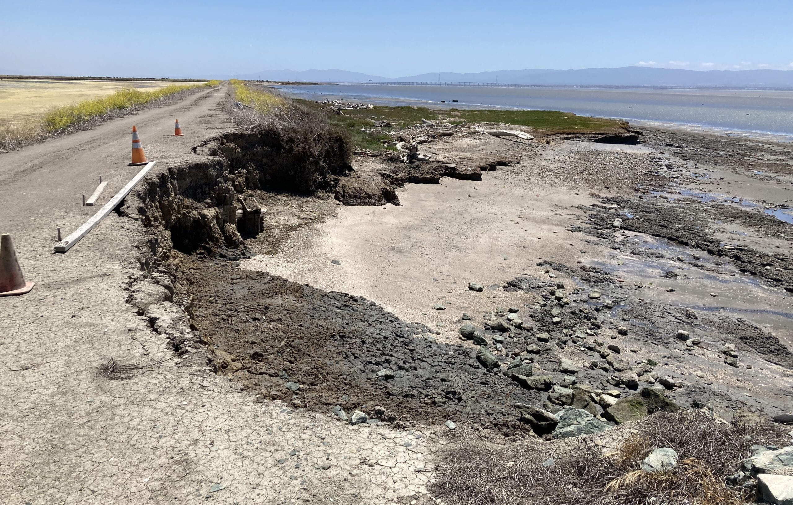 Eroding edge of Whale's Tail marsh near Eden Landing courtesy David Hasling.