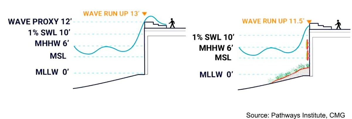 Wave run up diagram courtesy USCOE.