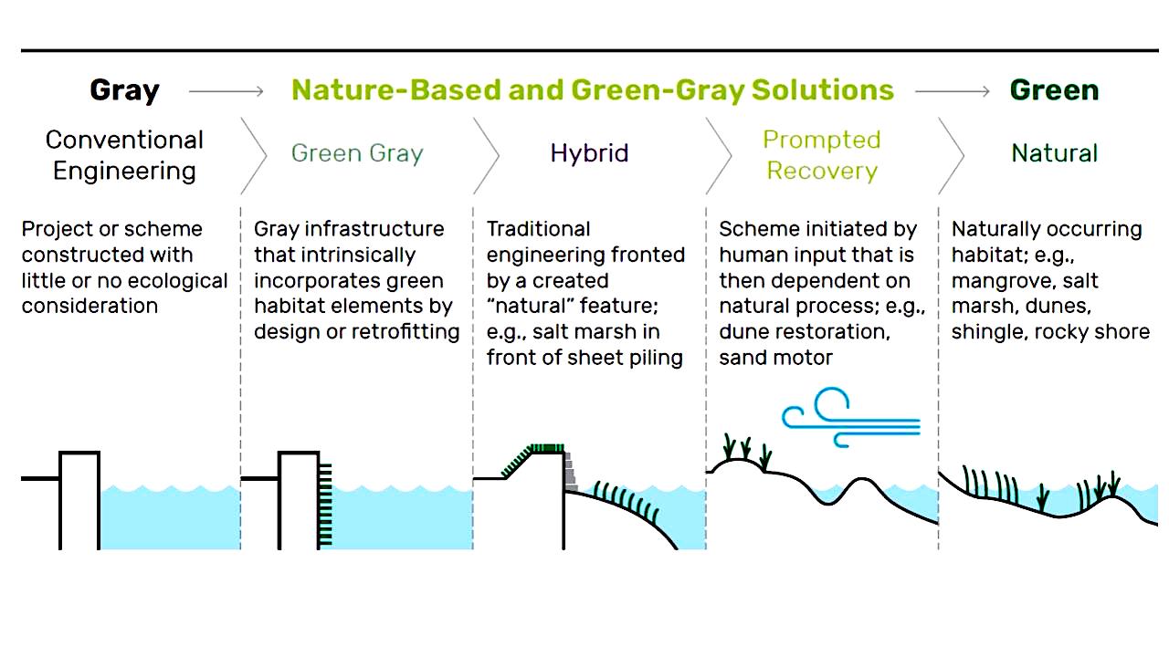 Grey versus green infrastructure profiles courtesy USCOE. 