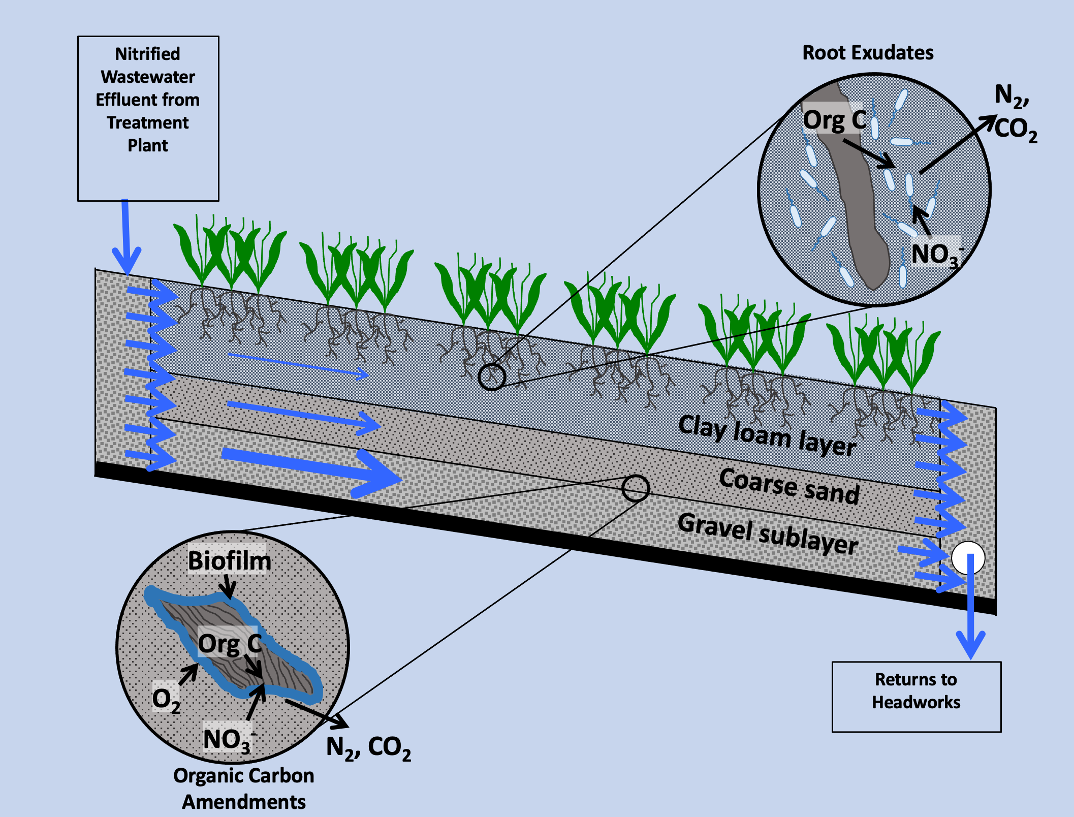 Treatment cells of Oro Loma experimental levee.