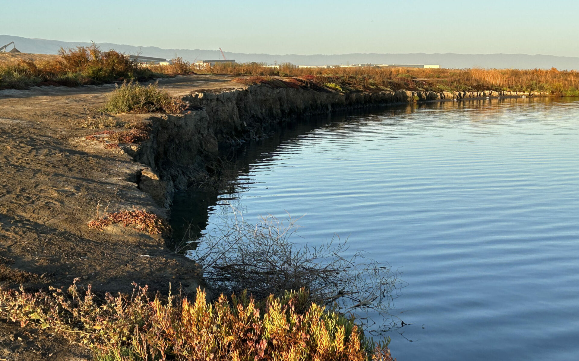 Interior of the A8 ponds group.