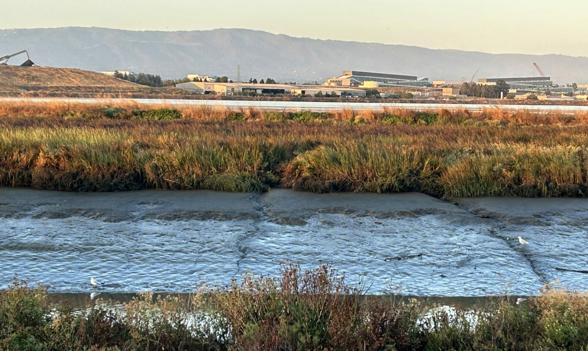 Natural sediment movement can occur through channels like Guadalupe Slough (foreground) but it won’t be enough to raise ponds like A4 in the background. 