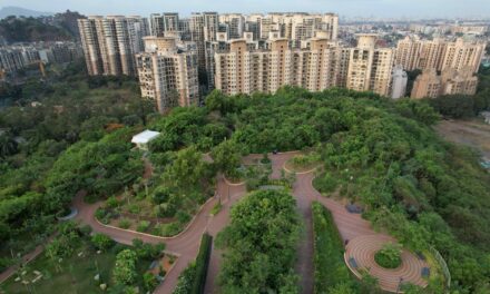 Mumbai’s Microforests Model Cooling for California