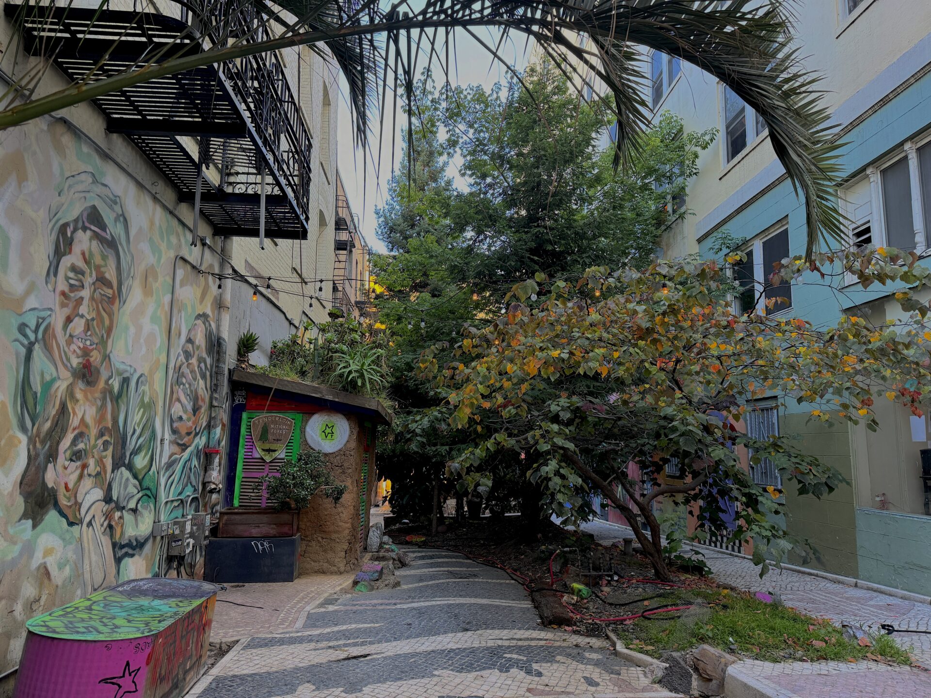 Photo of Tenderloin National Forest alley by Emily Harwitz