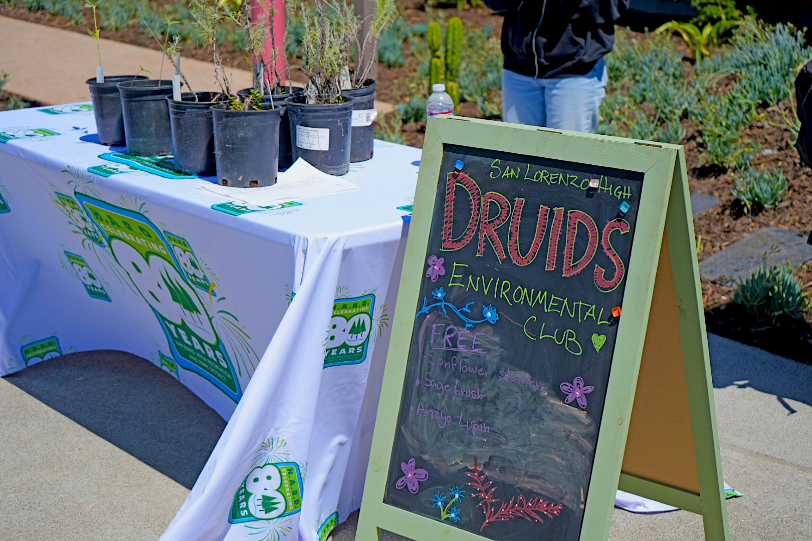 Plants chosen by local high schoolers. 