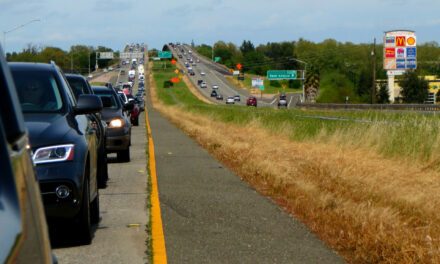 Can Sitting in Traffic Give You Parkinson’s?