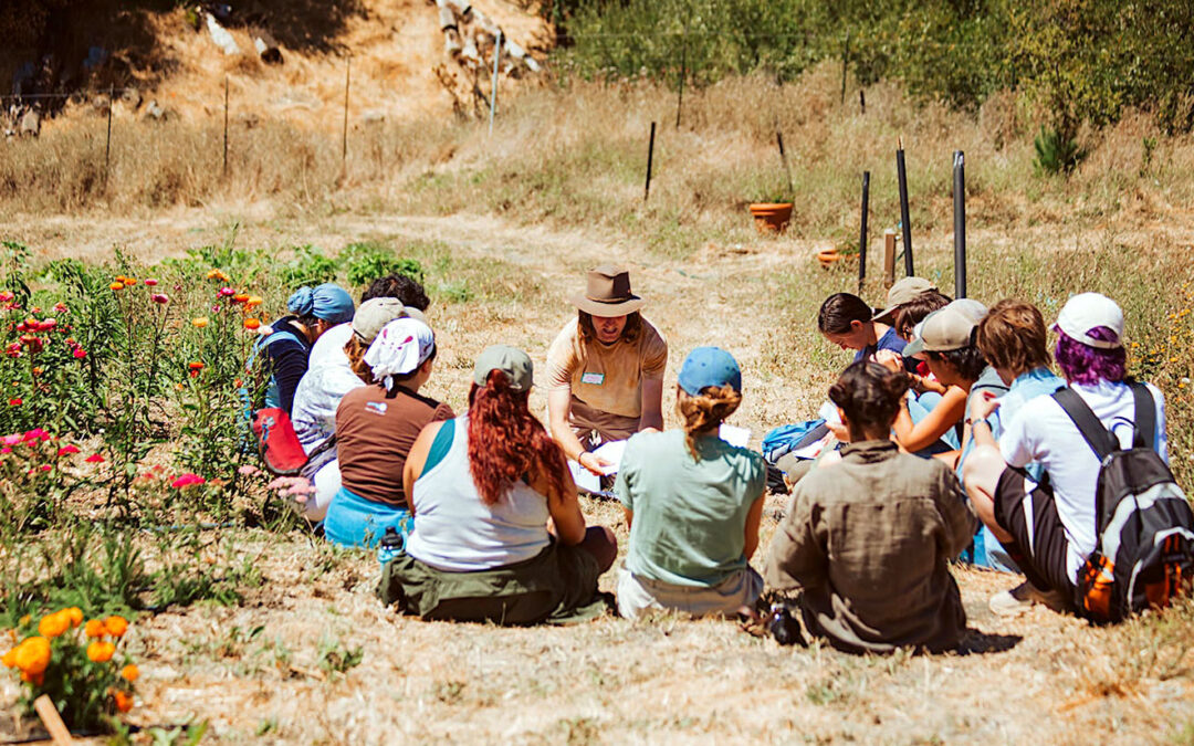 Training Future Farmers To Grow More Than Food