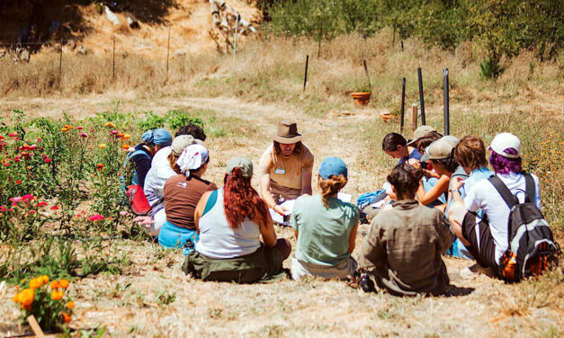 Training Future Farmers To Grow More Than Food