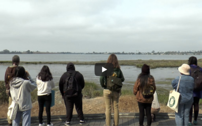 Residents Readied to Shape Future of Oakland’s Shores