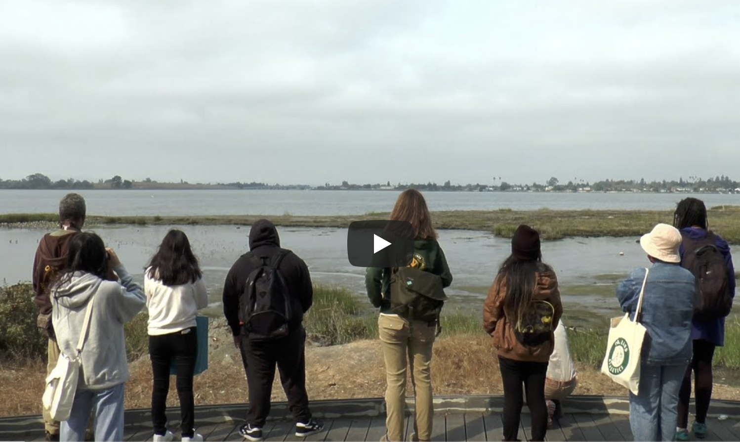 people standing on the shore of Oakland looking out