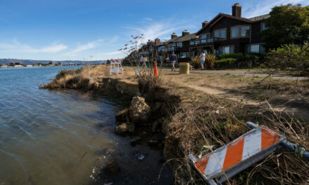 Two Workshops Daylight Alameda-Oakland Shore Solutions