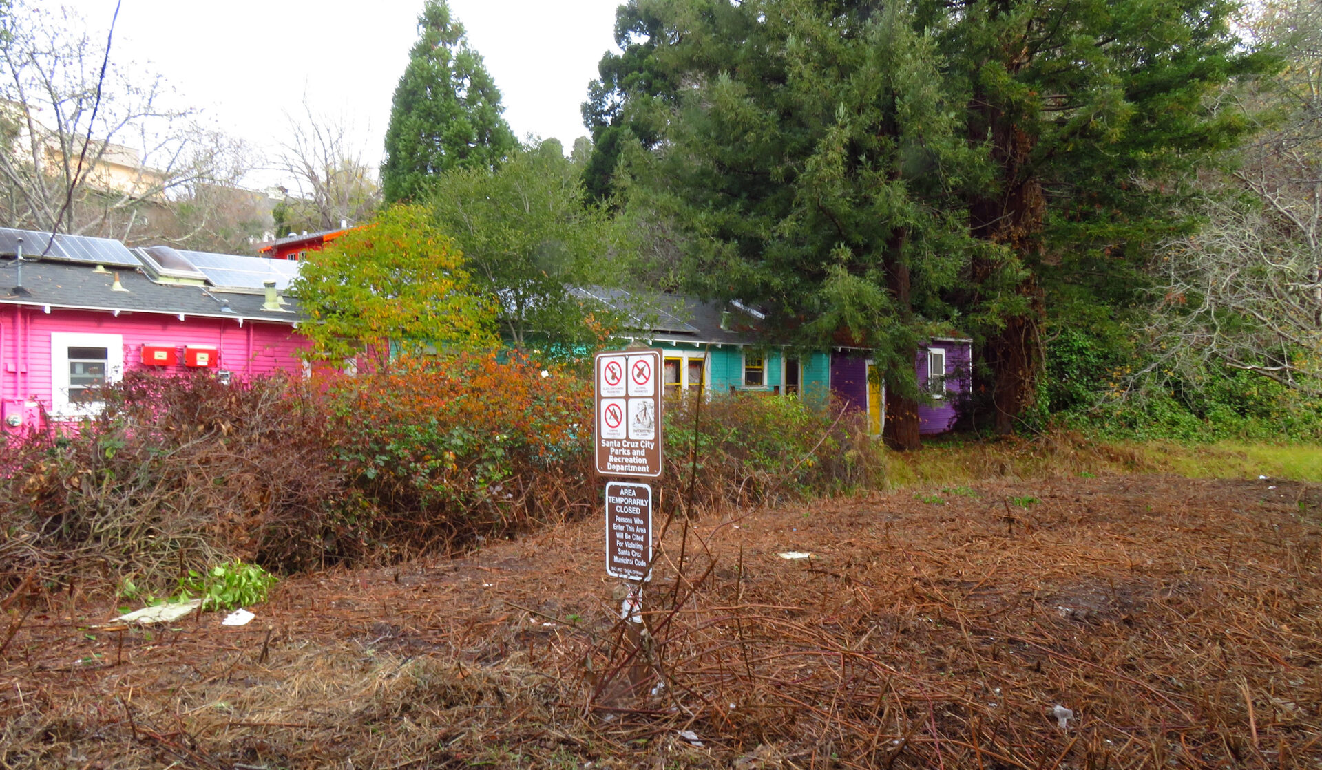 Jessie Street Marsh. Photo: Isaac Pearlman