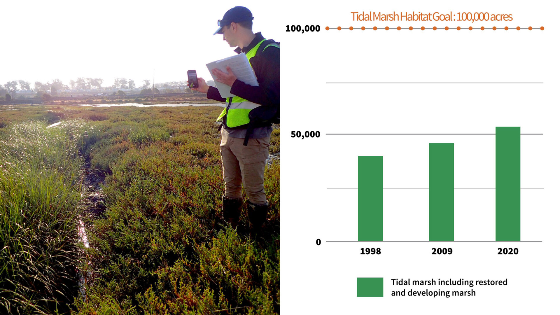 SFEI’s Dave Peterson conducts monitoring in Dotson Marsh, one of the wetlands counted in SFEI’s most current assessment of wetland extent and restoration progress throughout the Bay. Data & Photo: SFEI