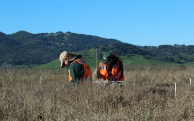 Collecting and Unifying Regional Metrics on Wetland Health 