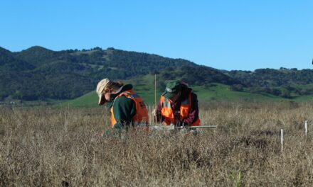 Collecting and Unifying Regional Metrics on Wetland Health 