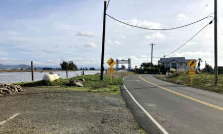 On Napa’s Milton Road, No Resident Is an Island