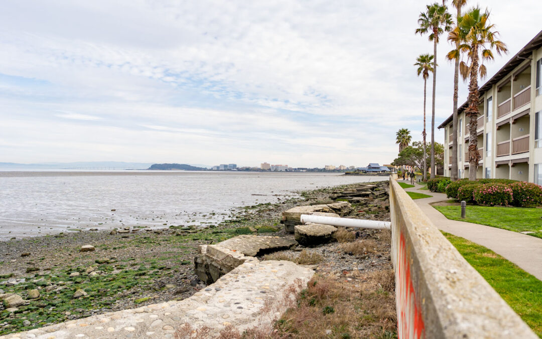 High-Concept Plans for a High-Risk Shoreline