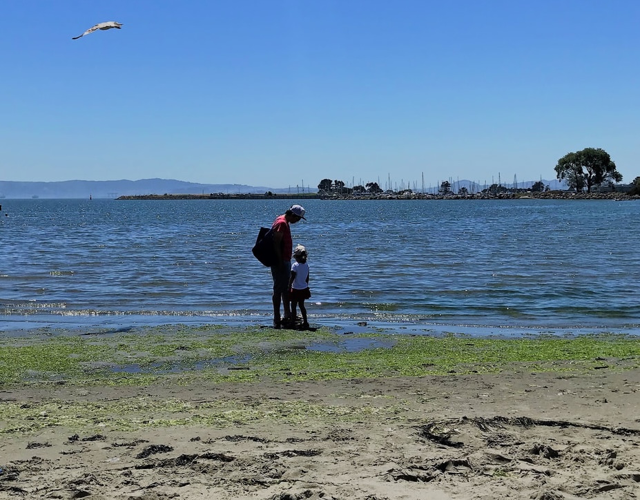 Crown Beach. Photo: Darcie Luce