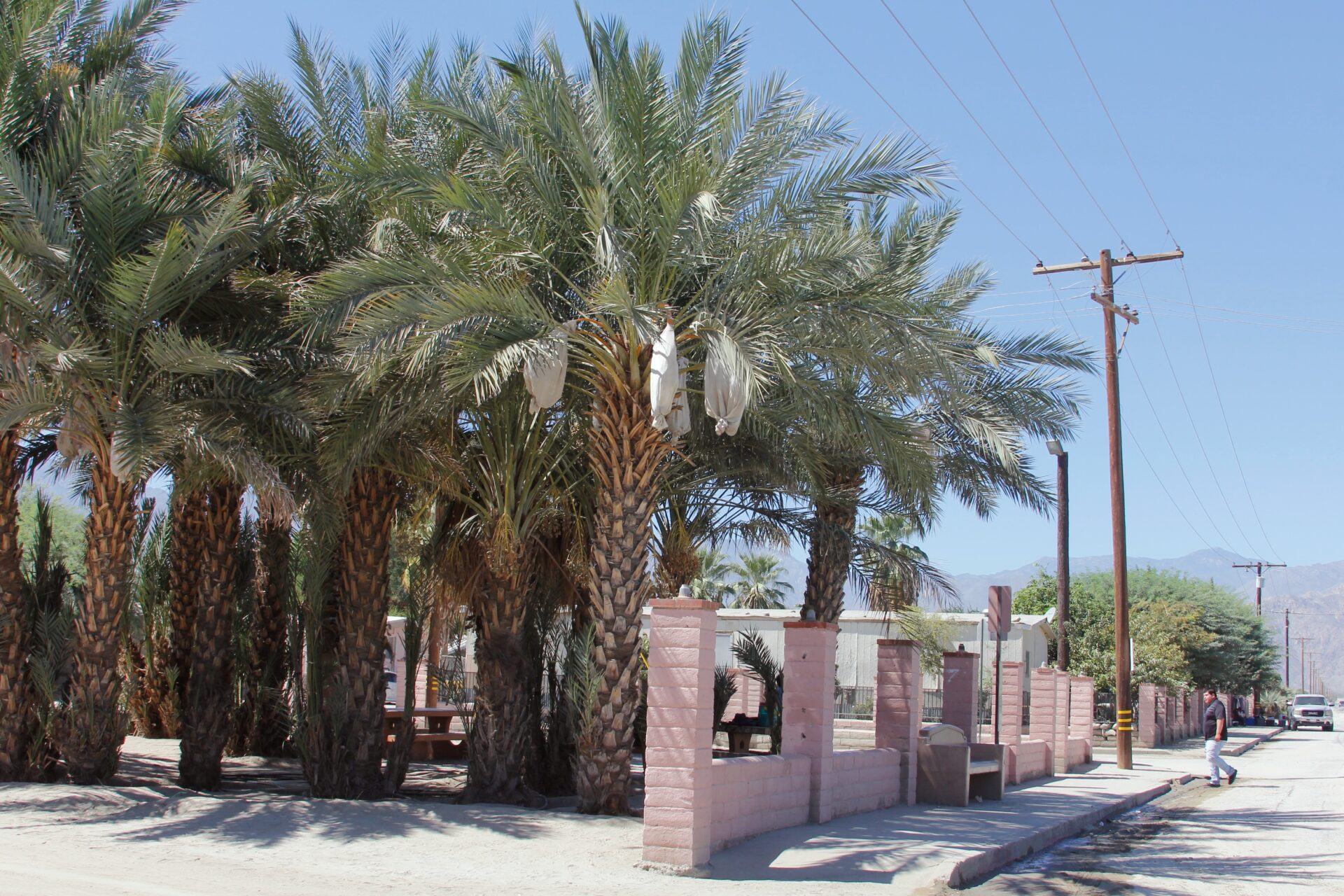 A bus stop in Thermal. Photo: Maria Sestito